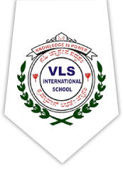 vls international school